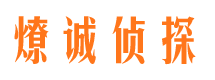 青铜峡市调查公司